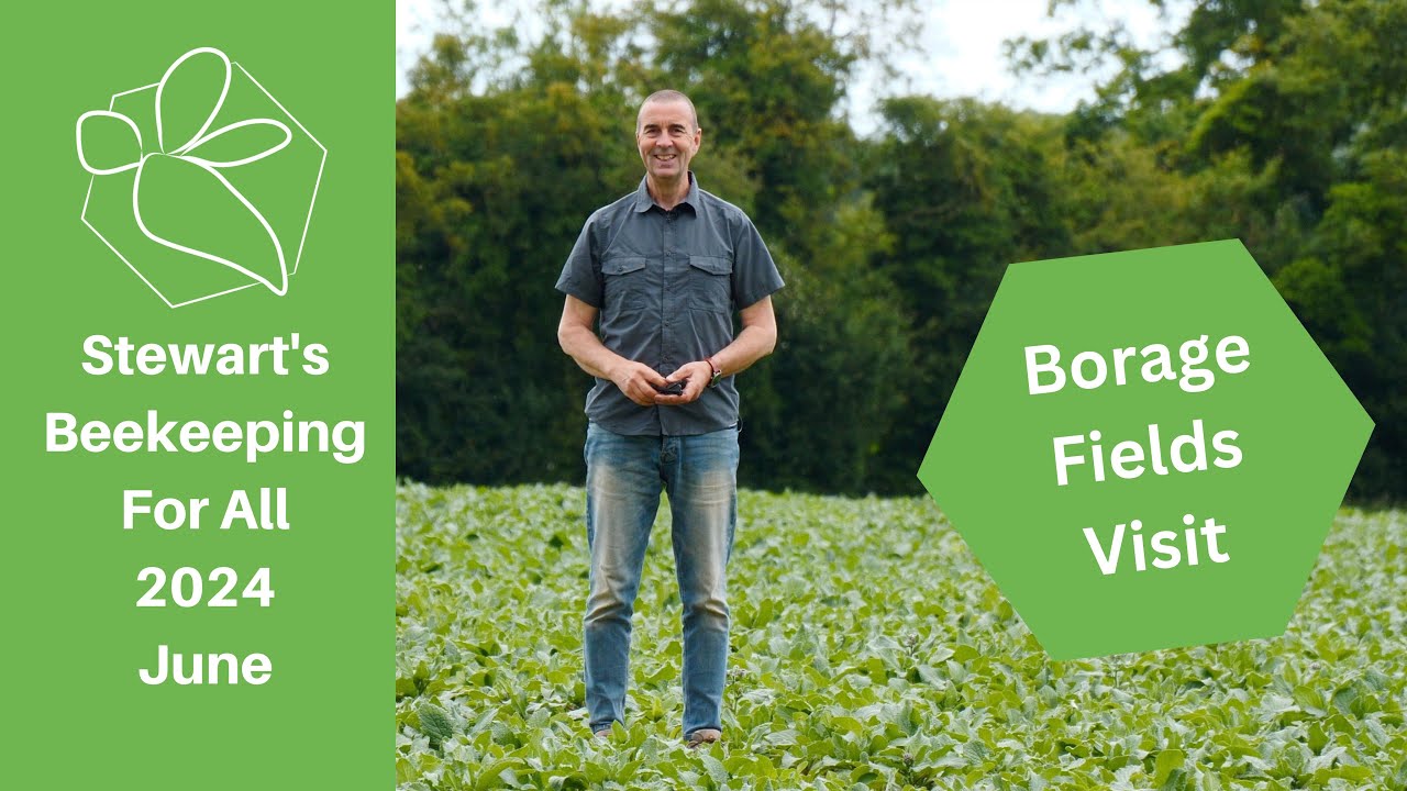 Borage Fields Visit - Stewart Spinks From The Norfolk Honey Co.