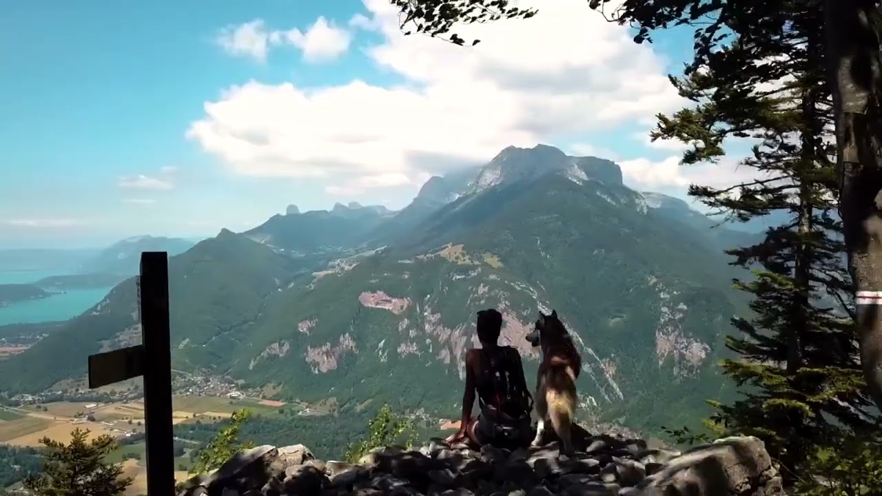 Canimarche  (film promo 2018)