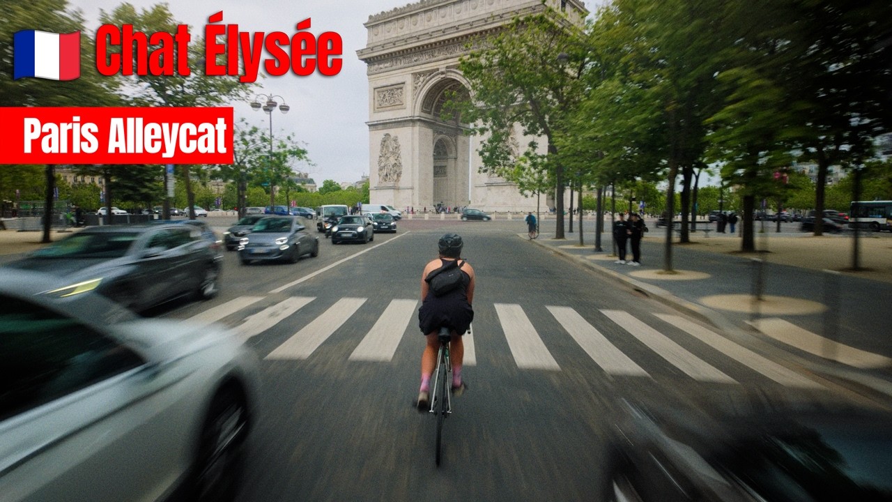 🇫🇷 Chat &Eacute;lys&eacute;e | Paris Alleycat | FixedGear | RoughCut