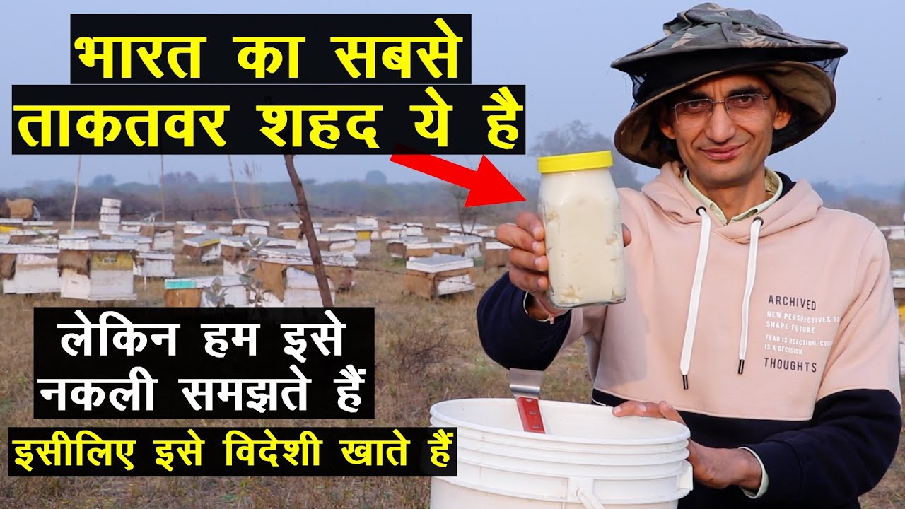 भारत का सबसे ताकतवर शहद ये है लेकिन इसे विदेशी खाते हैं, हम सिरप पीते हैं, आंखें खोलने वाली जानकारी
