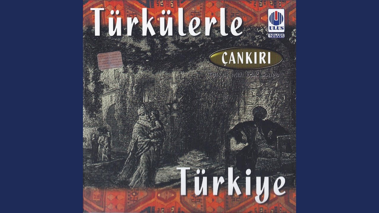 Leblebi Koydum Taşa