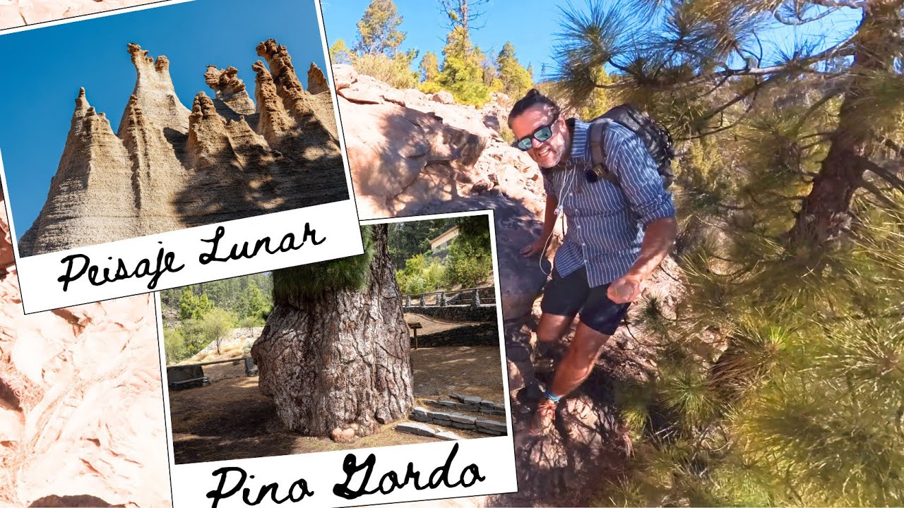 Teneriffa: Peisaje Lunar Wanderung ab Vilaflor + Pino Gordo