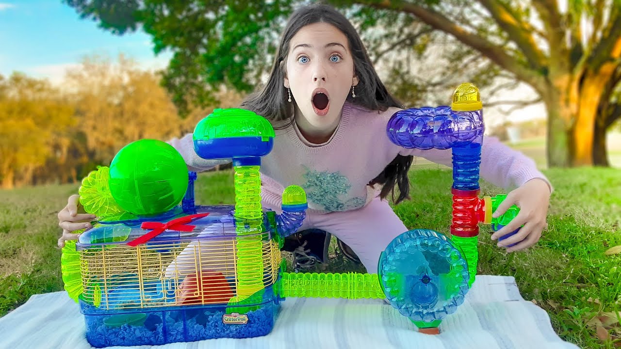 GANHEI UMA HAMSTER COM UMA SUPER GAIOLA - TOUR PELA GAIOLA - Giulia Kids