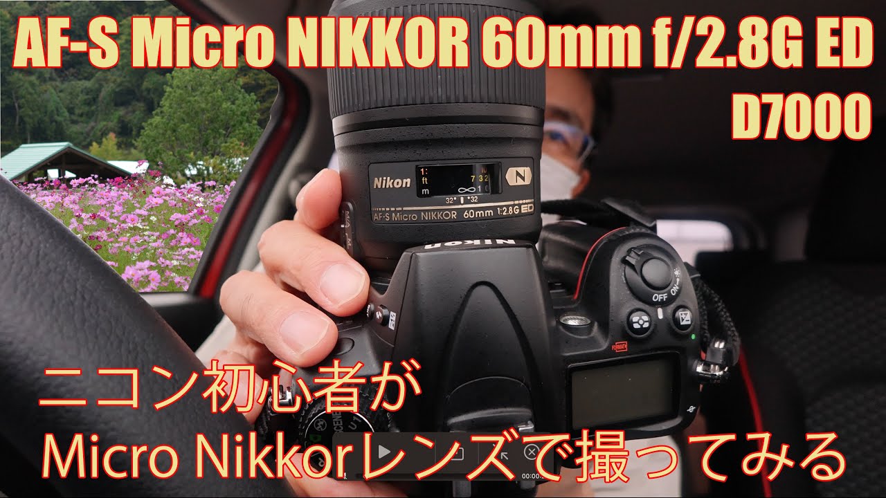 AF-S Micro NIKKOR 60mm f/2.8G ED・ずっと欲しかったMicro Nikkorレンズで撮ってみる