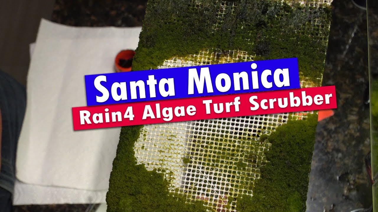 Santa Monica Rain 4 ATS - Waterfall Algae Turf Scrubber update