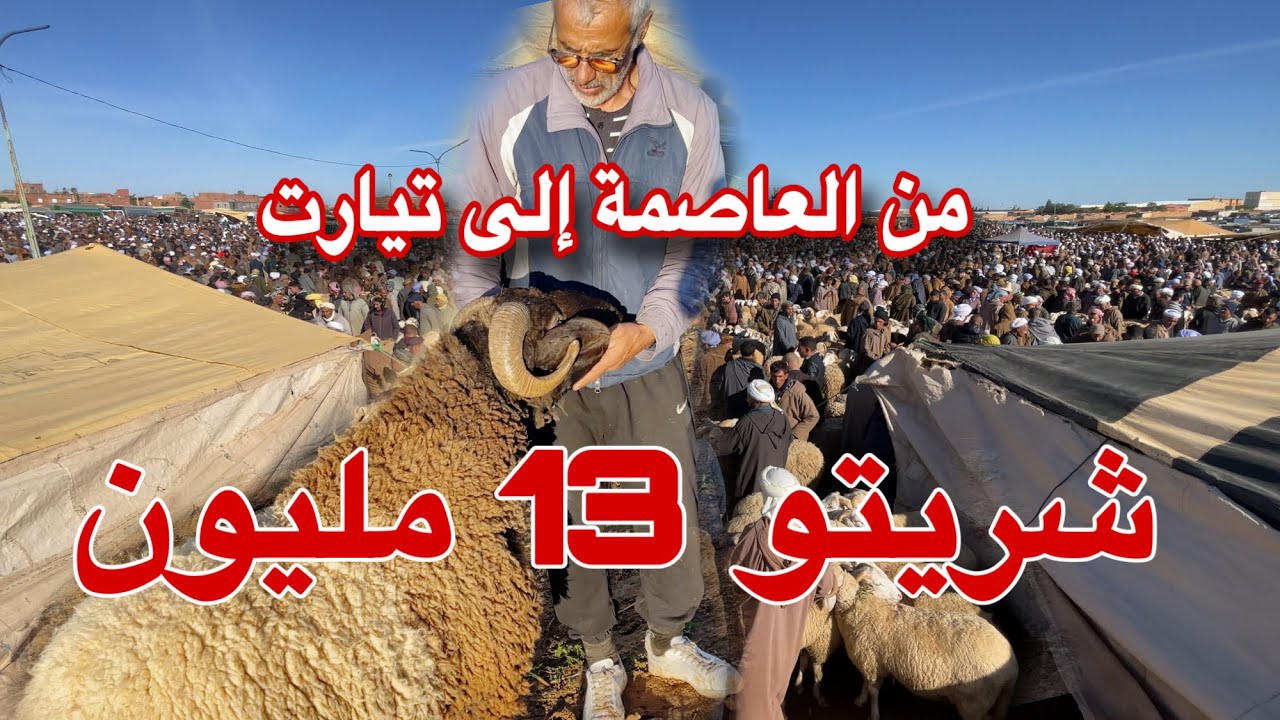 🔴العاصميون يشترون الكباش على المباشر من  سوق سوڤر/ تيارت و بداية عودة الروح للأسواق هذه الأيام !!
