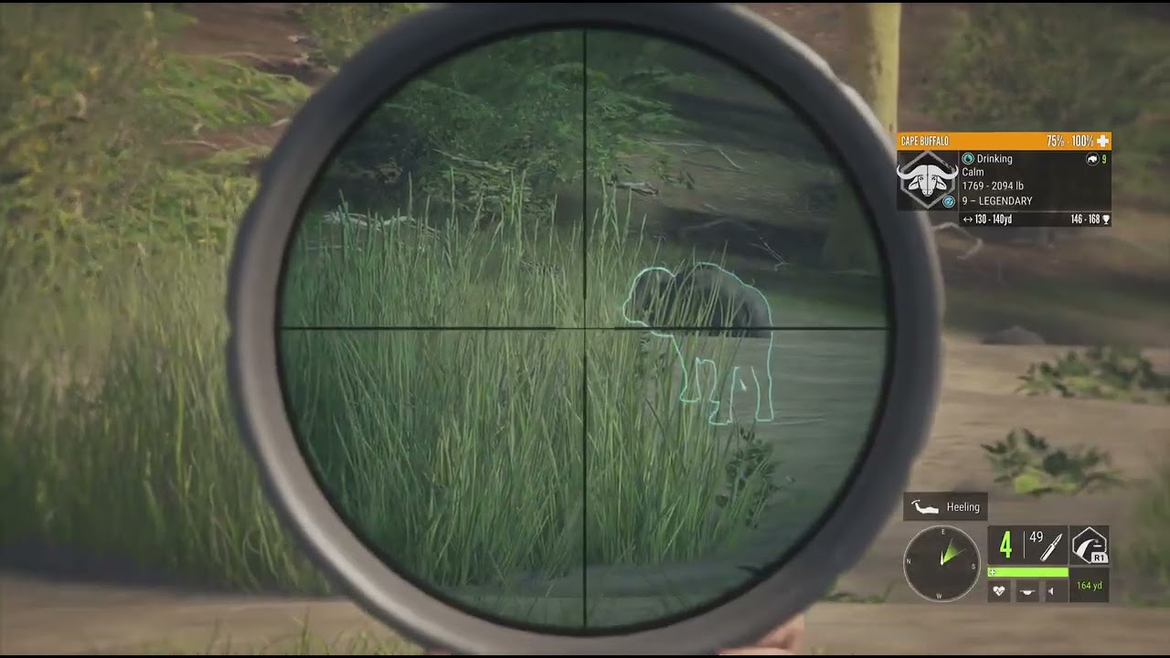 Diamond Cape buffalo! #cotwclips #cotw #gaming 