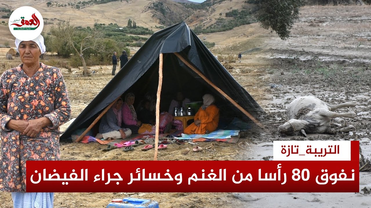 نفوق 80 رأسا من الغنم وأضرار في الممتلكات.. عائلة ضواحي تازة تفترش العراء وتحصي خسائر الفيضانات