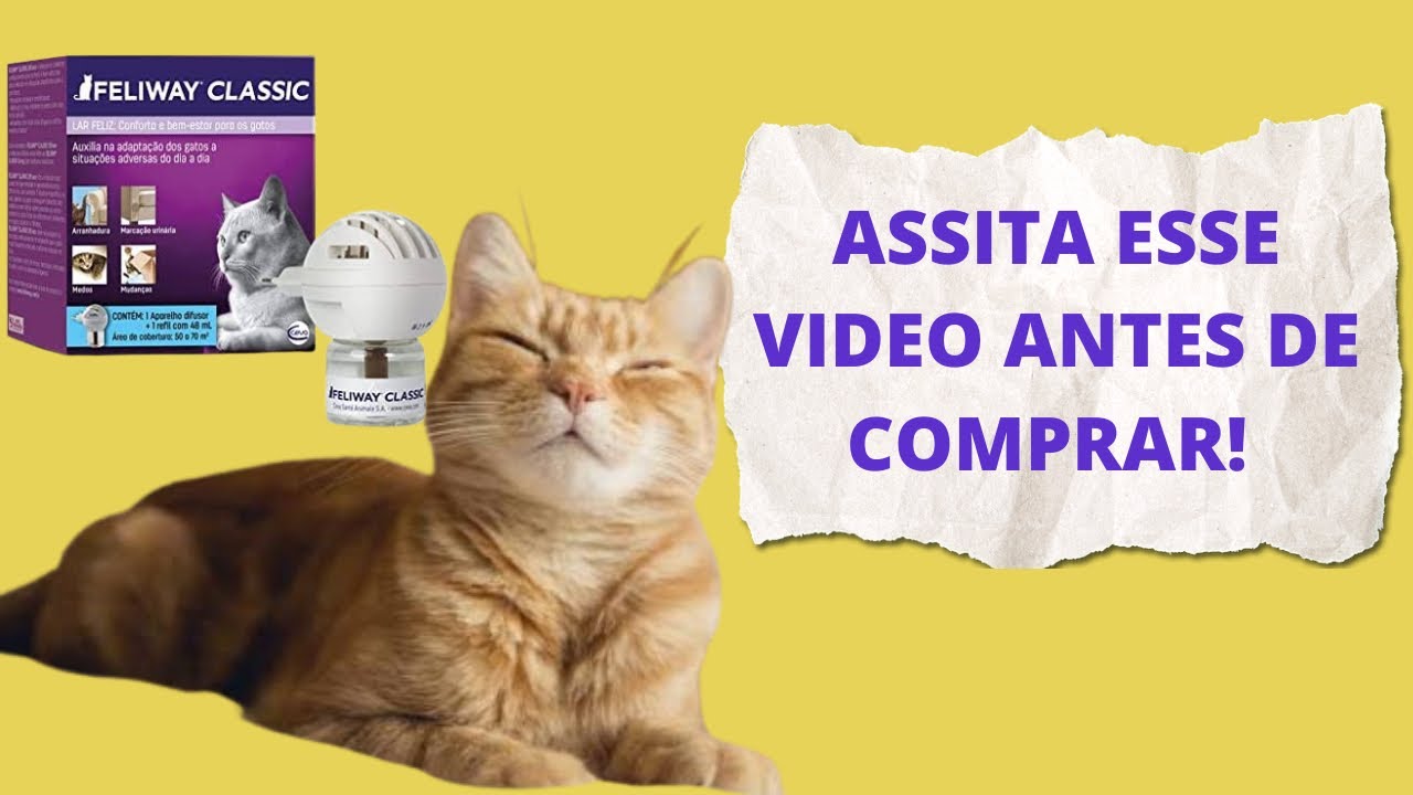 Feliway - O produto que promete trazer felicidade para os gatos, funciona mesmo?