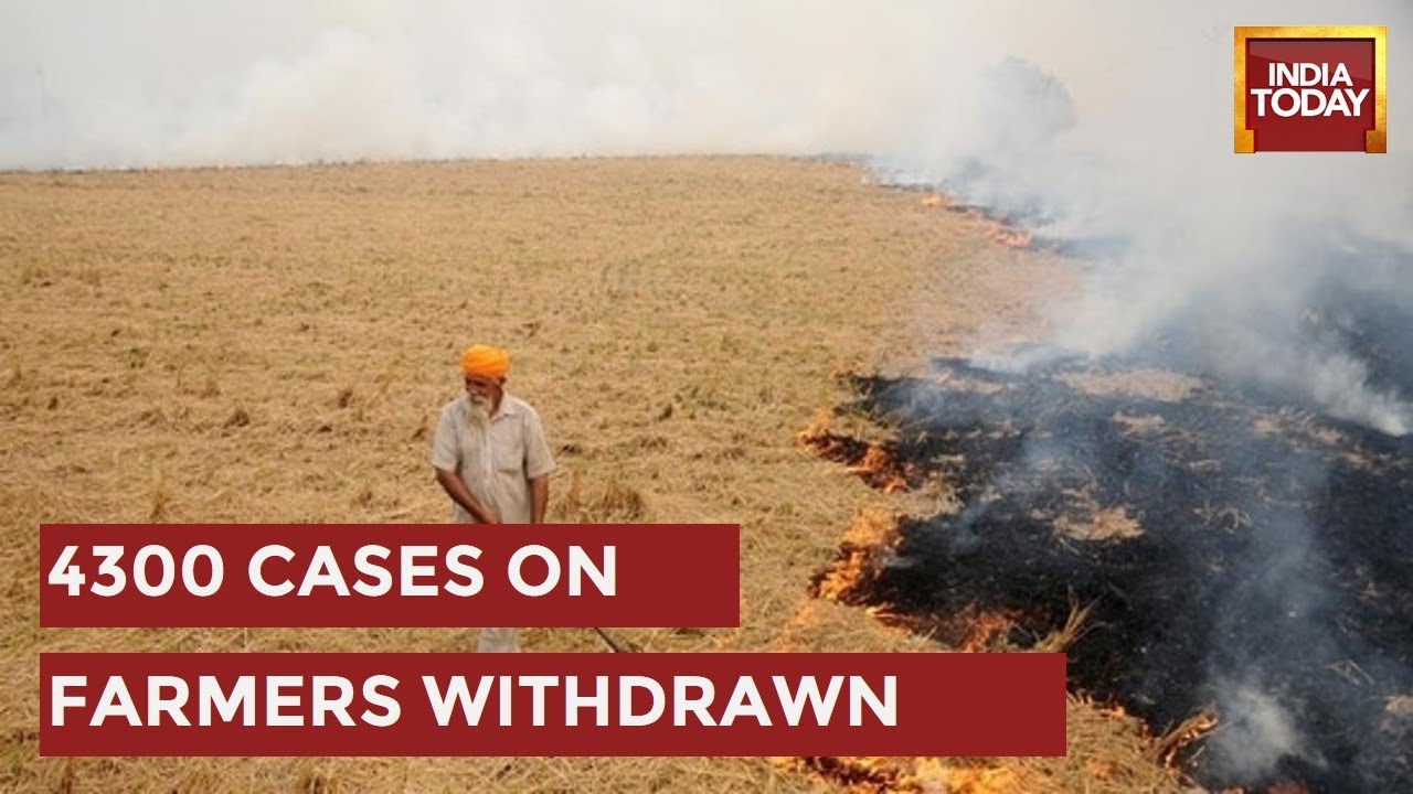 Punjab Govt Scraps Cases Against Crop Burning; Over 4300 Cases On Farmers Withdrawn