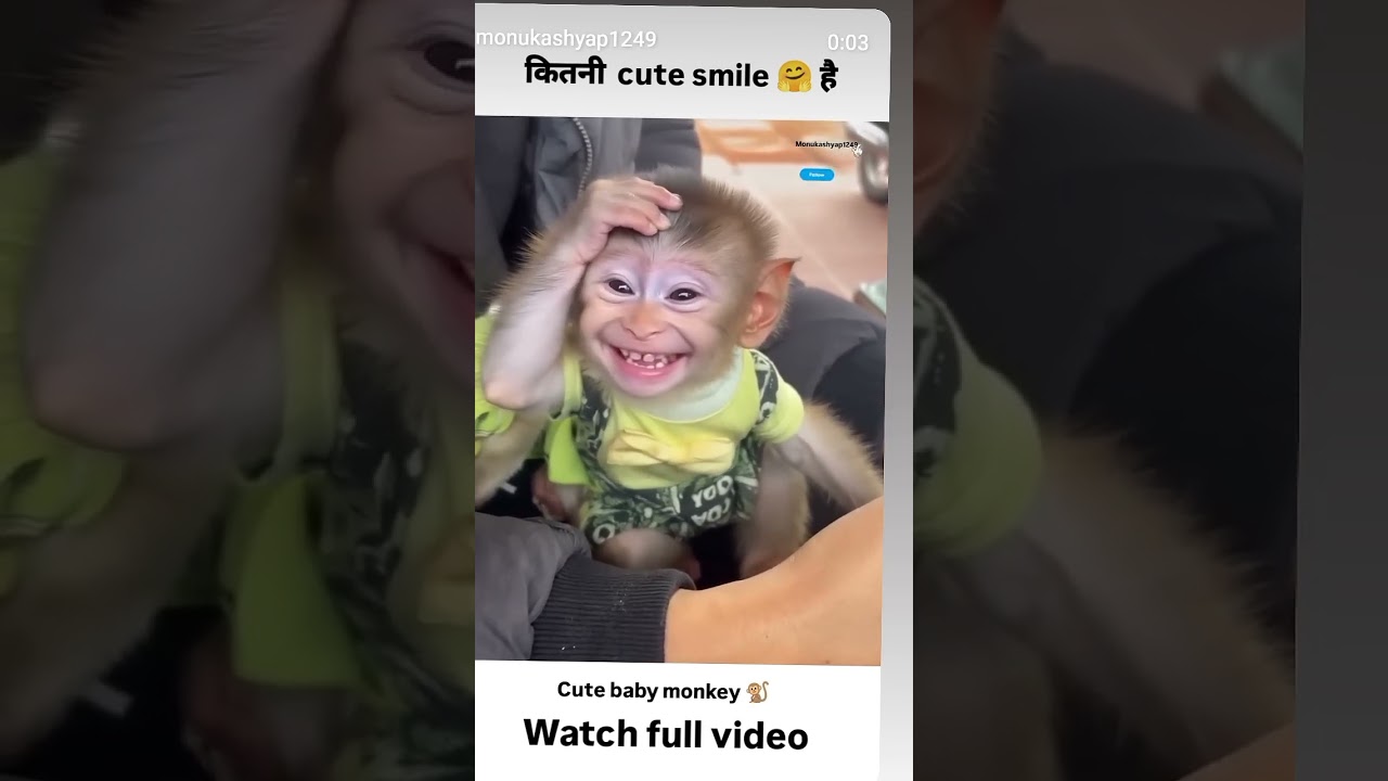 cute bandar ka smile #trending #funny video #viralshort video 😄😀