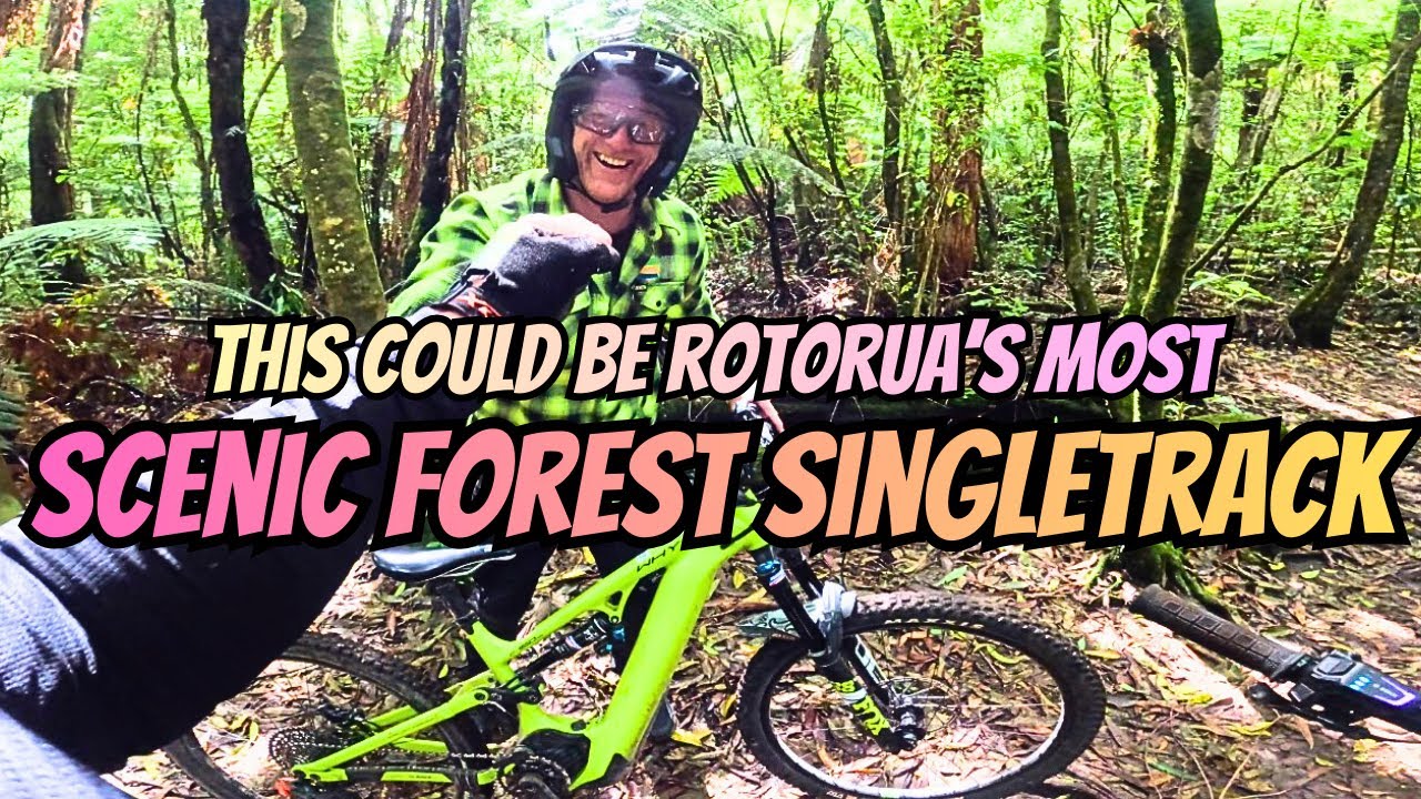 Rotorua's Most Scenic Singletrack in the Forest