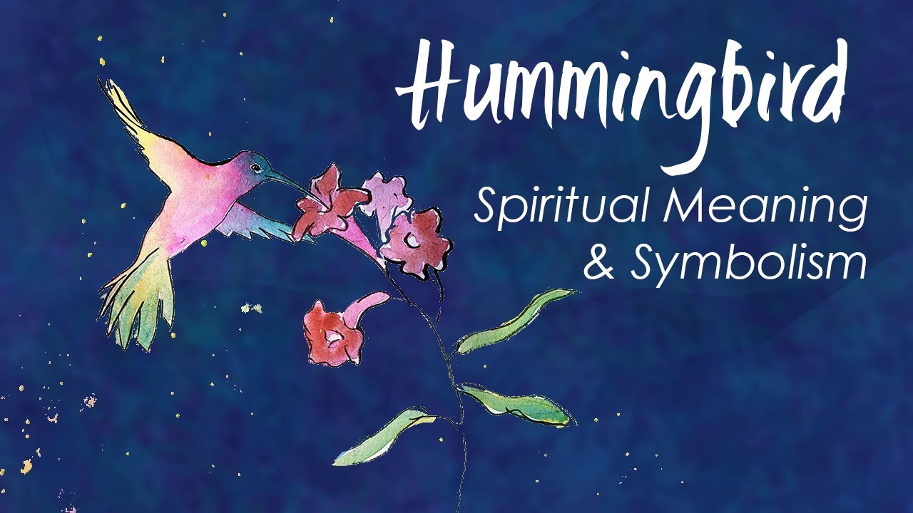 Hummingbird Spirit Animal/ Hummingbird Totem/ Spirit Meaning of Hummingbird