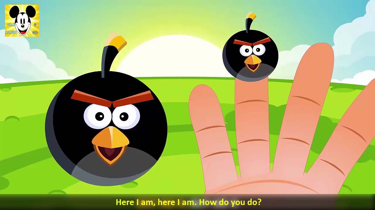 Angry Birds Finger Family Song | Angry Birds Finger Family Song | Daddy Finger Daddy Finge