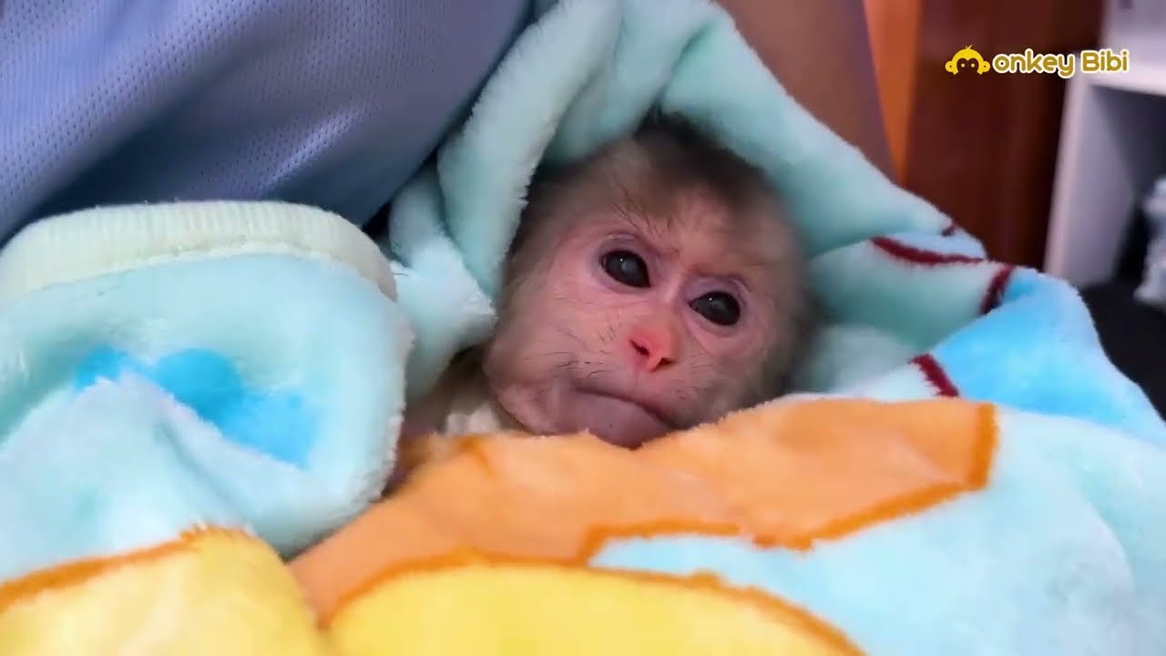 Lala Felt Unwell — Mom’s Gentle Care & Bibi’s Sweet Return