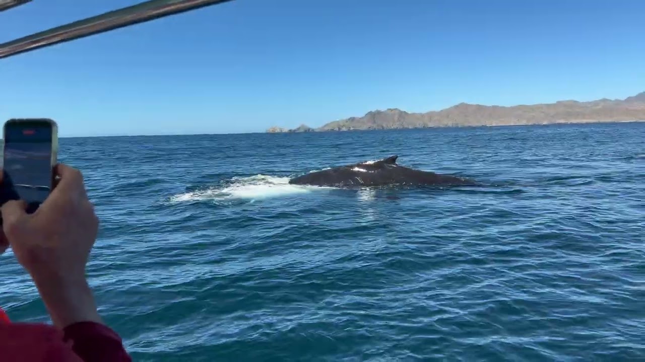 24 февраля 2026 г.