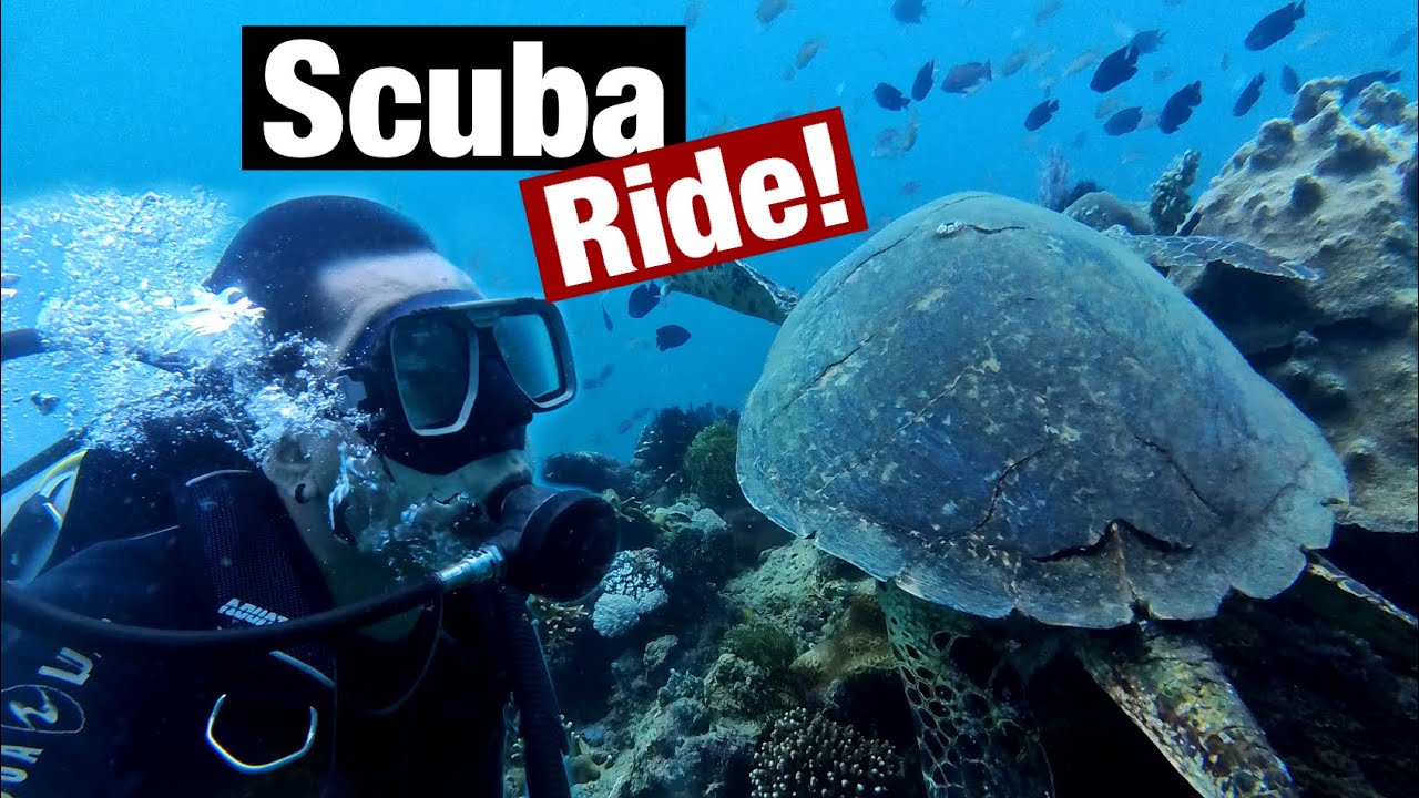 Solo Ride Papunta sa Ilalim ng Dagat | Honda PCX 160