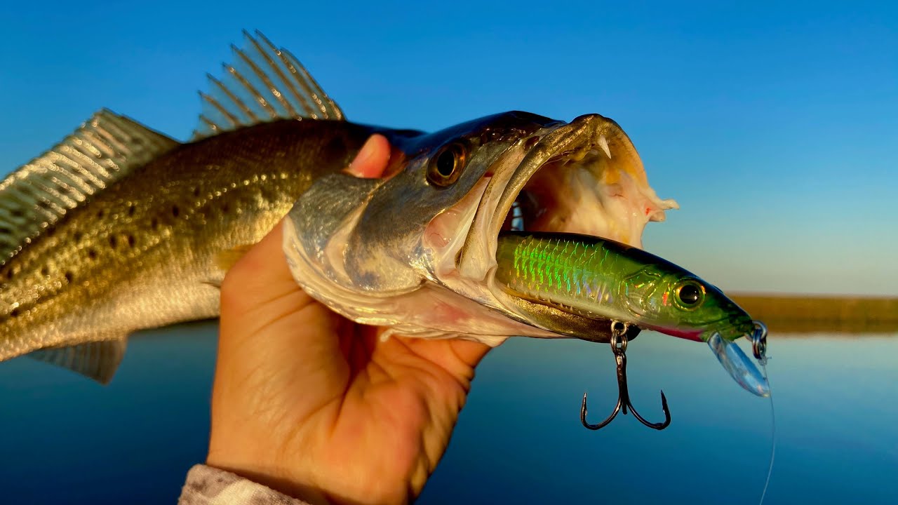 2 Hours NONSTOP Fishing Action | Shell Beach, La.!