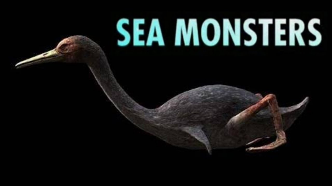 Sea Monsters [2004] - Hesperornis Screen Time
