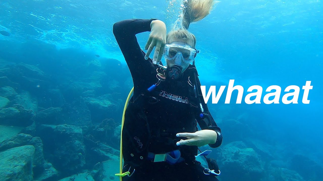 SCUBA DIVING for the first time!