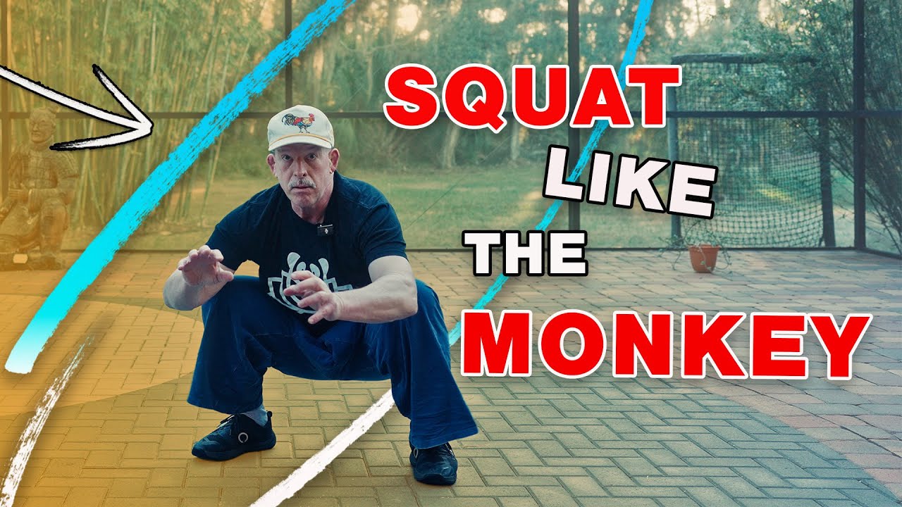 Monkey Squats Release Your Inner Animal