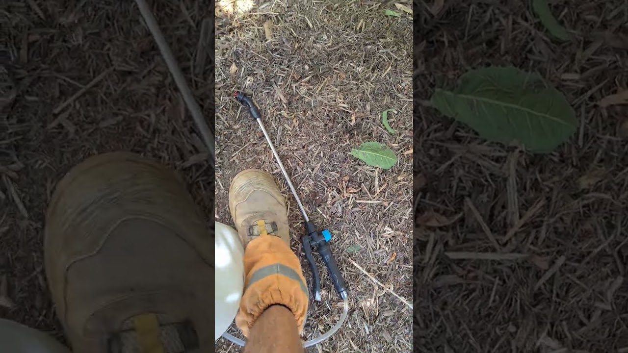 Control weeds, cleaning equipment.