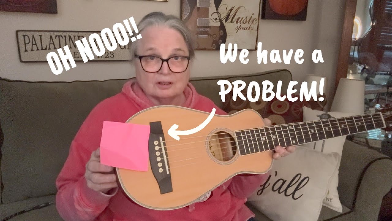 My Review: Harley Benton Traveler Steel ** $59 But Not Problem Free!! Bonus Story