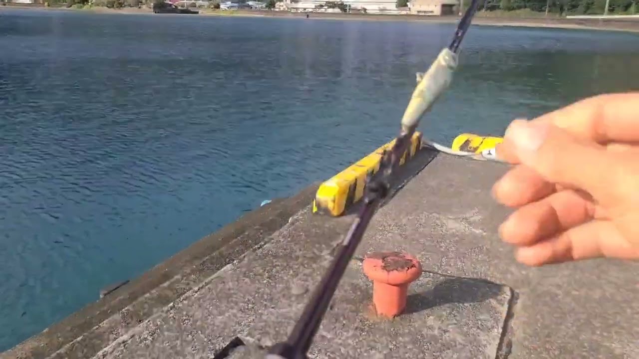 奄美大島22日目は湯湾周辺を自転車探索、湯湾岳に登って展望台からは焼内湾が見渡せて山頂からは島の反対側が見渡せて良き展望、午後は川に沿ってケンムン探し後田検で釣り④　2026/1/18