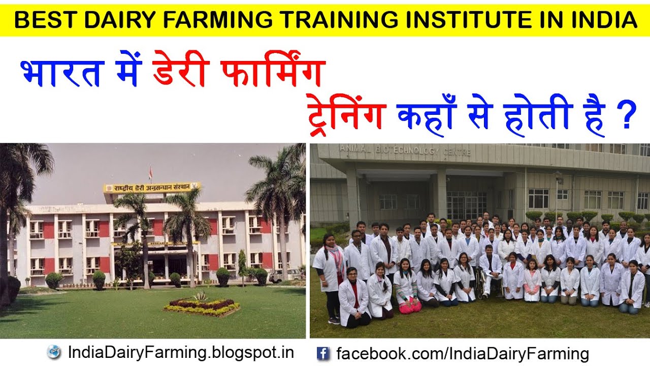 NDRI Dairy Farming Training Institute & Courses | Dairy Farming Training
