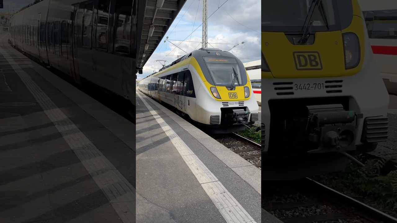 BR 442 Bombardier TALENT 2 Parade SWEG, National Express, DB Regio #br442 #bwegt