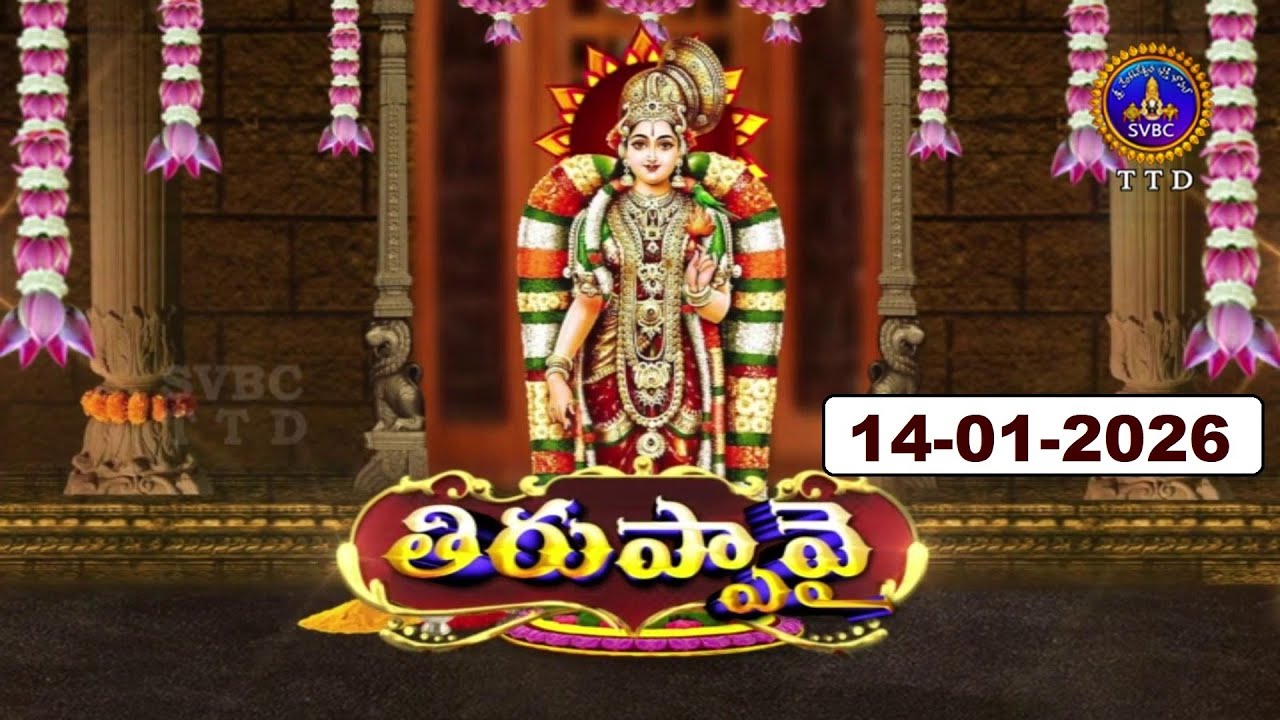ధనుర్మాసోత్సవం తిరుప్పావై || Dhanurmasotsavam || Tiruppavai || Tirumala || 14-01-2026 || SVBC TTD