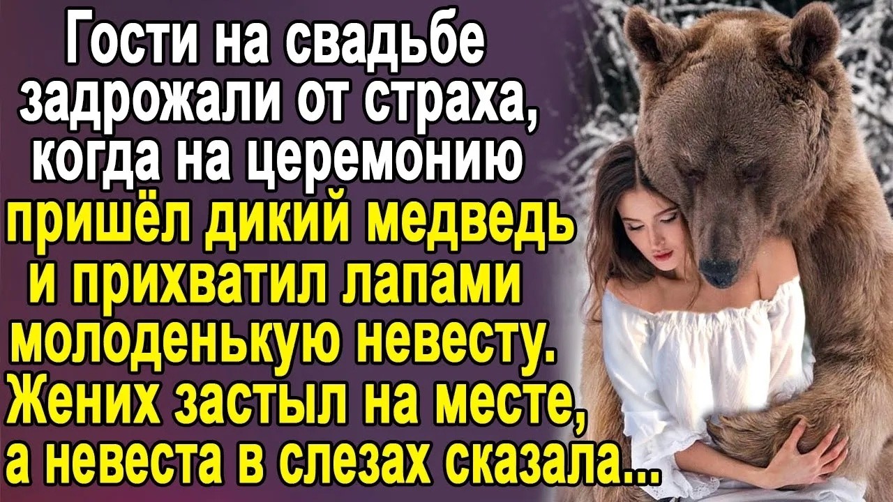 Гости на свадьбе задрожали, когда на церемонию пришёл дикий медведь и прихватил невесту  А жених