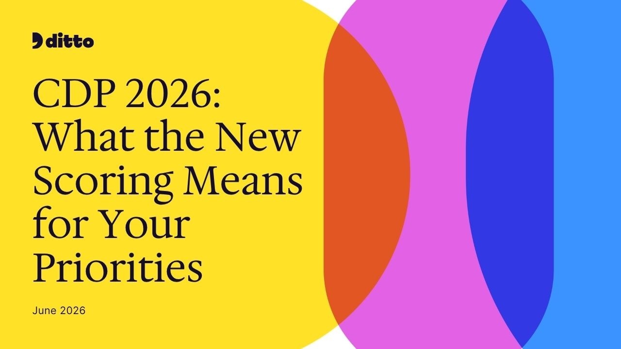 CDP 2026: Master the Scoring &mdash; Essential Criteria & Level Strategy