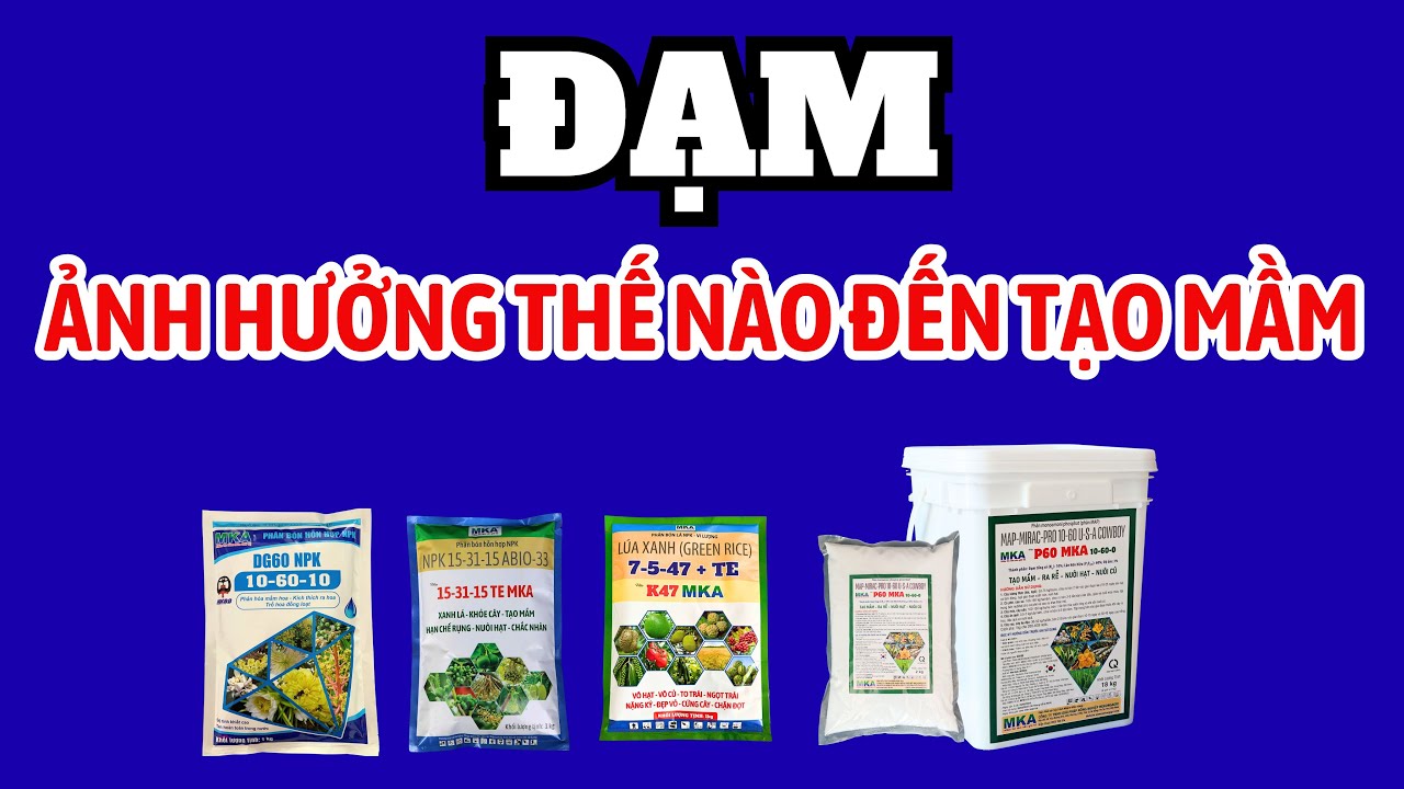 Đạm ảnh hưởng thế nào đến tạo mầm? Không có đạm tạo mầm có hiệu quả không?