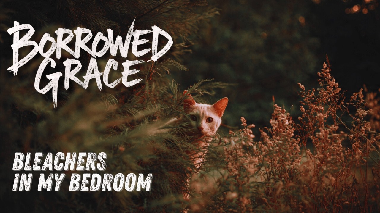 Borrowed Grace – Bleachers in My Bedroom (Official Audio | Alt Rock / Emo)