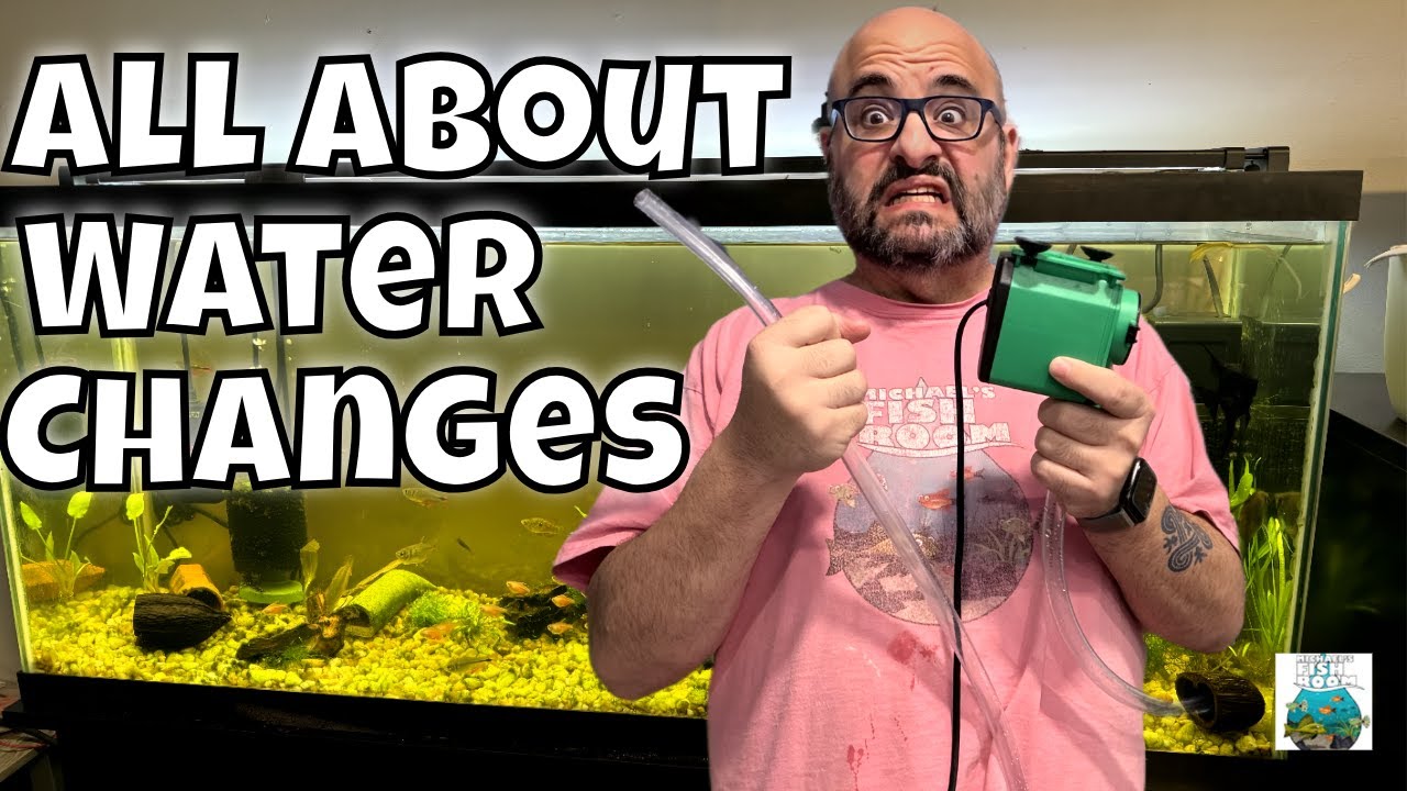 Everything you need to know about water changes! Simple