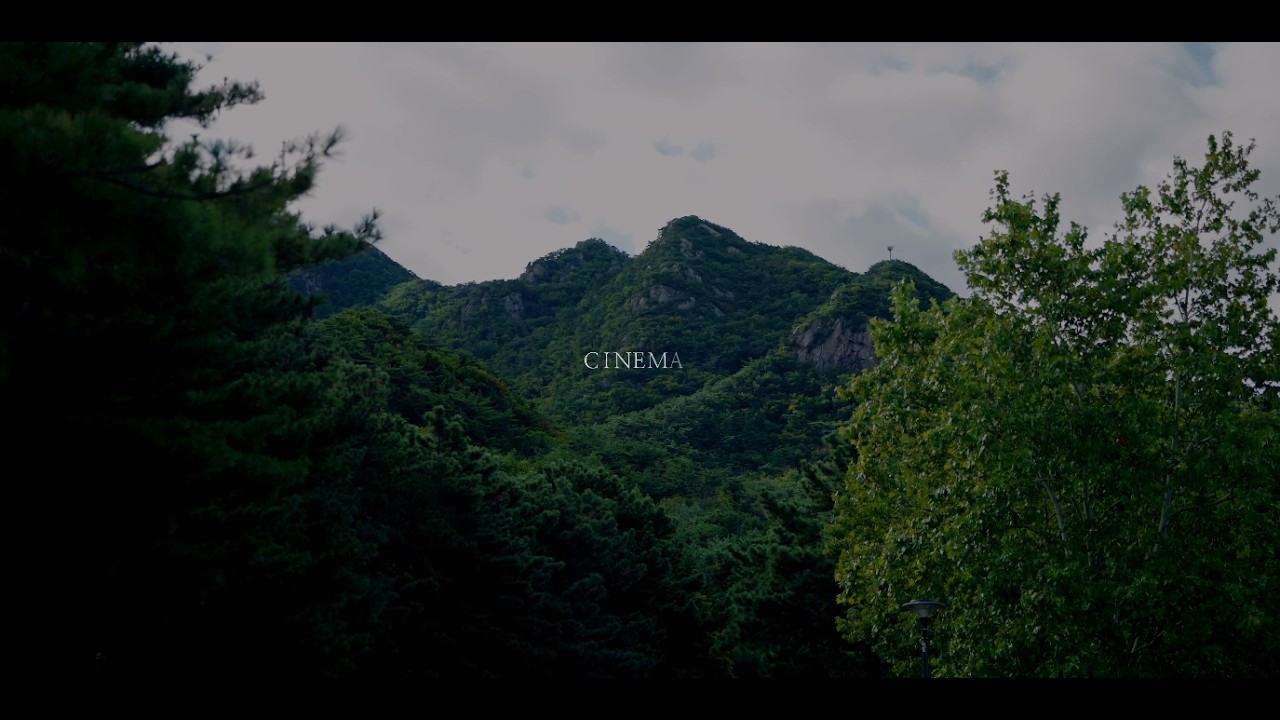룩어라운드필름ㅣ서울대교수회관 컨벤션홀 본식영상 본식dvd_  Cinema