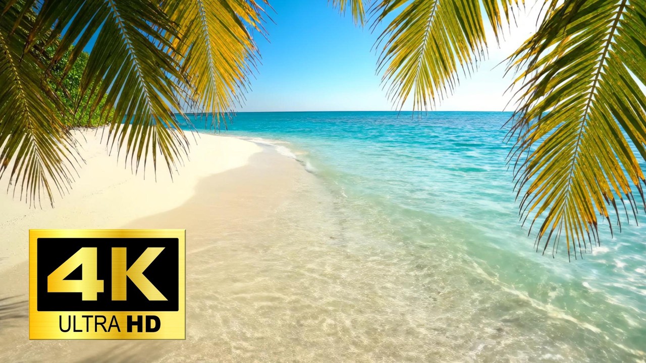 Sandy Beach | Relaxing Ambient 4K - 10 Hours #naturesounds  #oceanwaves #beach