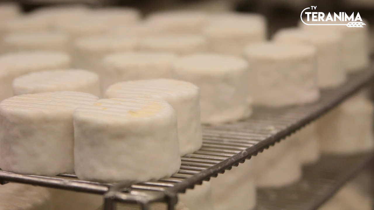 Les fromages de Bourgogne