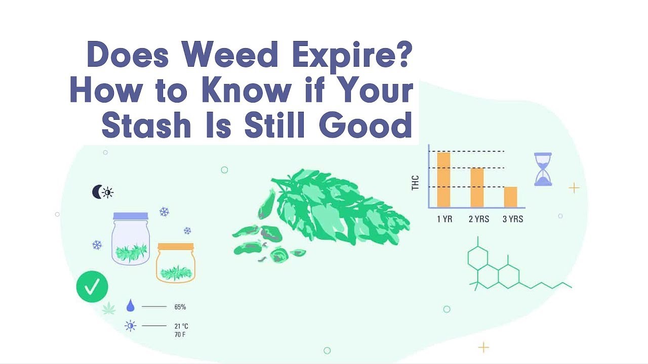 Has Your Weed Expired? Here's How To Know If Your Stash Is Still Good