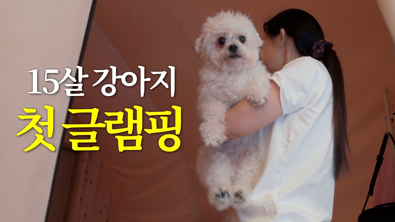 캠핑장 안내해주는 고양이가 있는 곳에서 강아지와 엄마와 첫 글램핑