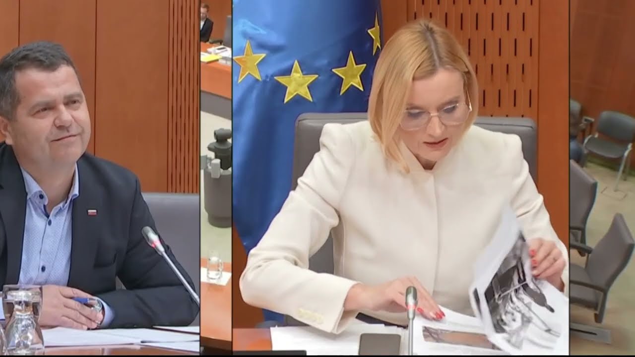 PREISKOVALNA KOMISIJA,MOJCA SETINC PASEK BRAVO ZA VODENJE SEJE