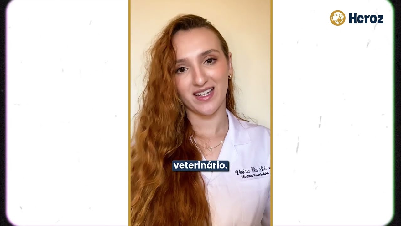 Vacinação em cães: por que é essencial para a saúde do seu pet? | Dra. Vitória Elis