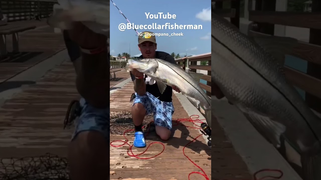Juno Pier Snook Fishing