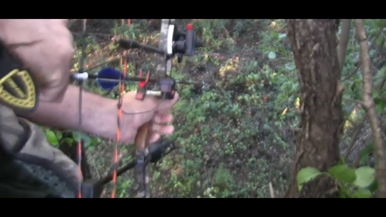 Narrowing the focus & Acquiring targets