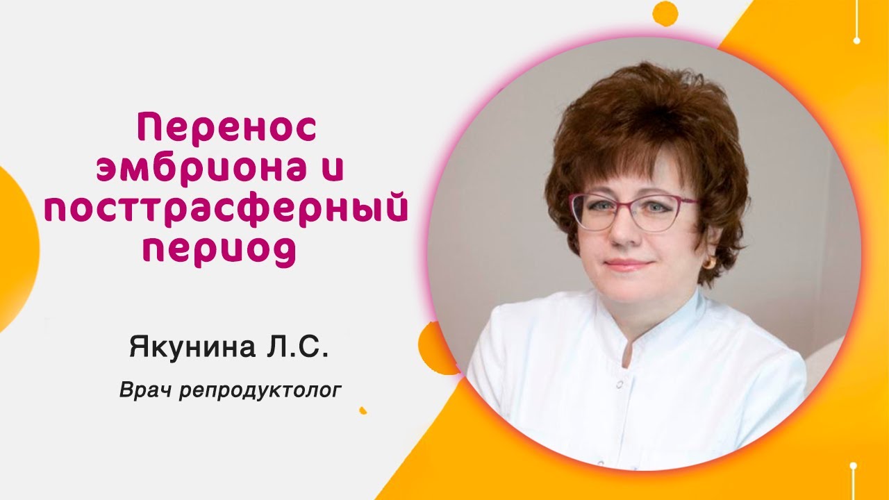 Перенос эмбриона и посттрансферный период