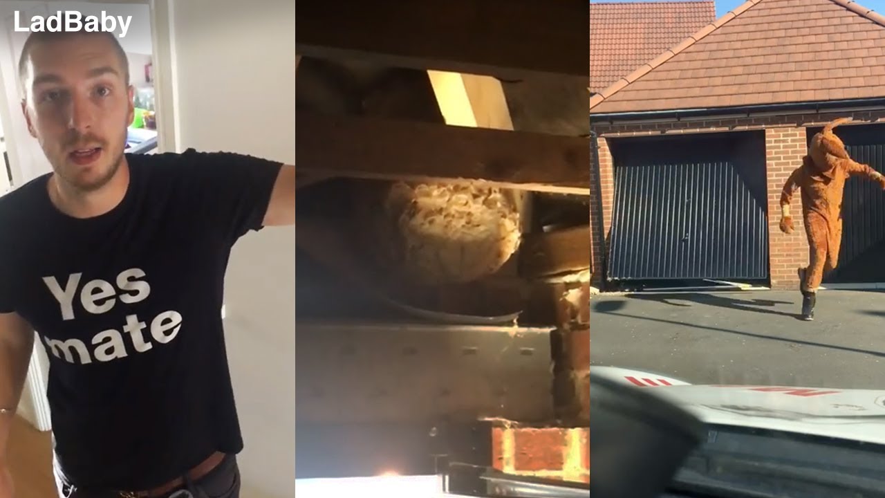 When dad tackles a wasps nest 🐝🤦‍♂