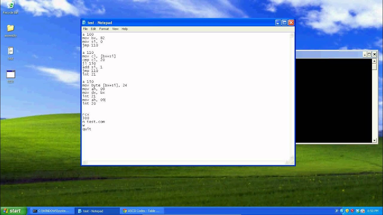 Assembly Tutorial 11 - Command Line Arguments