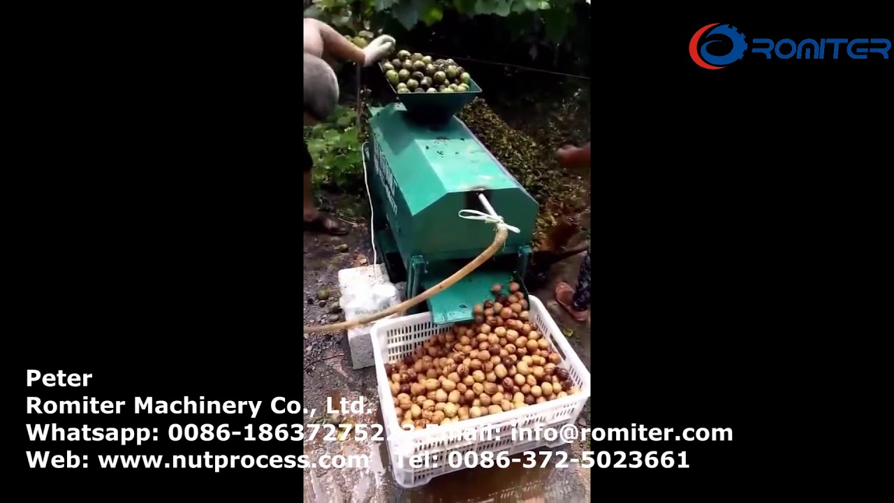Automatic Green Walnut Peeling Machine