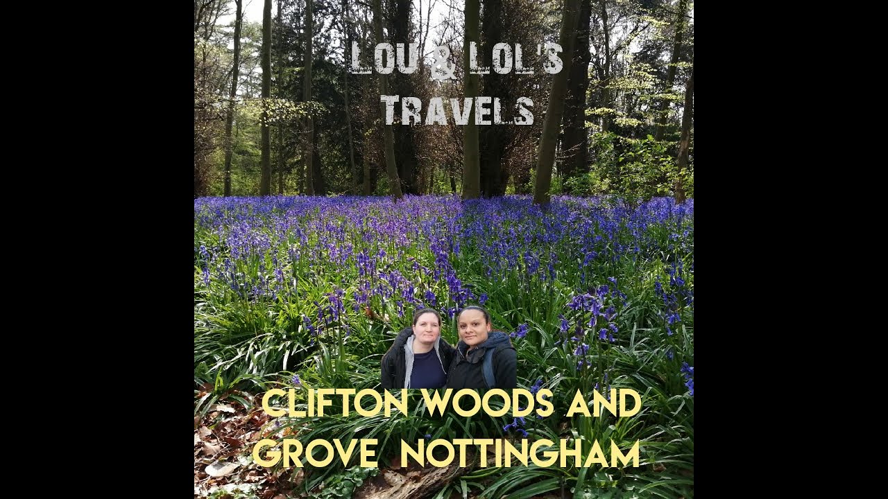 Clifton Woods and Grove, Nottingham (our one form of daily exercise)